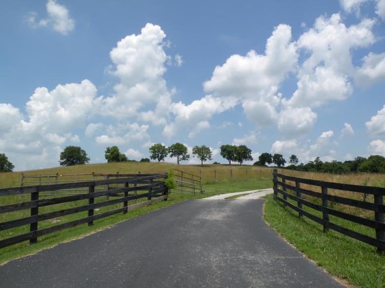 Free stock image of Country Road created by Katie Hildreth