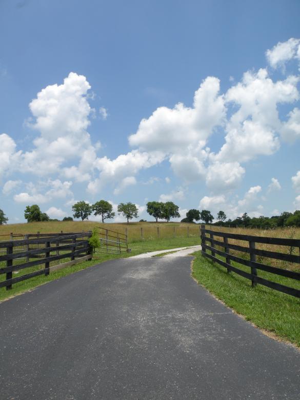 Free stock image of Country Road created by Katie Hildreth