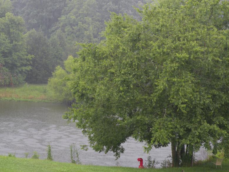 Free stock image of Rain On Pond created by Katie Hildreth