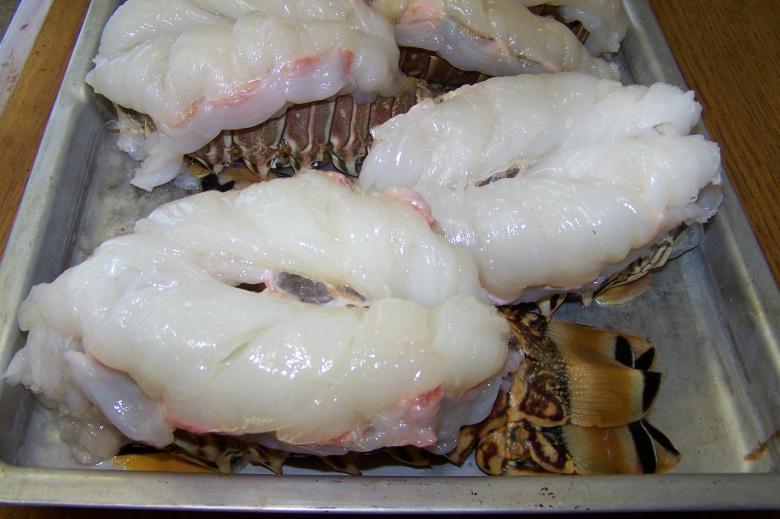 Free stock image of Split Lobster Tails in Pan created by delicopsch56