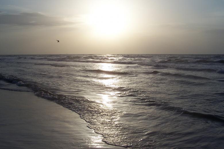 Free stock image of Beach Sunset created by delicopsch56