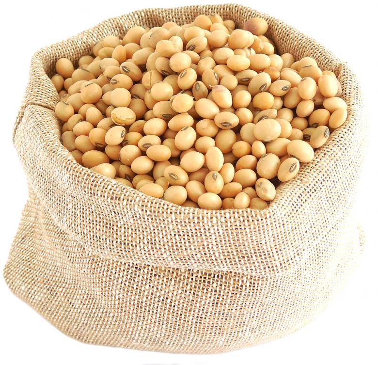 Free stock image of Soy Beans created by Sid Wood