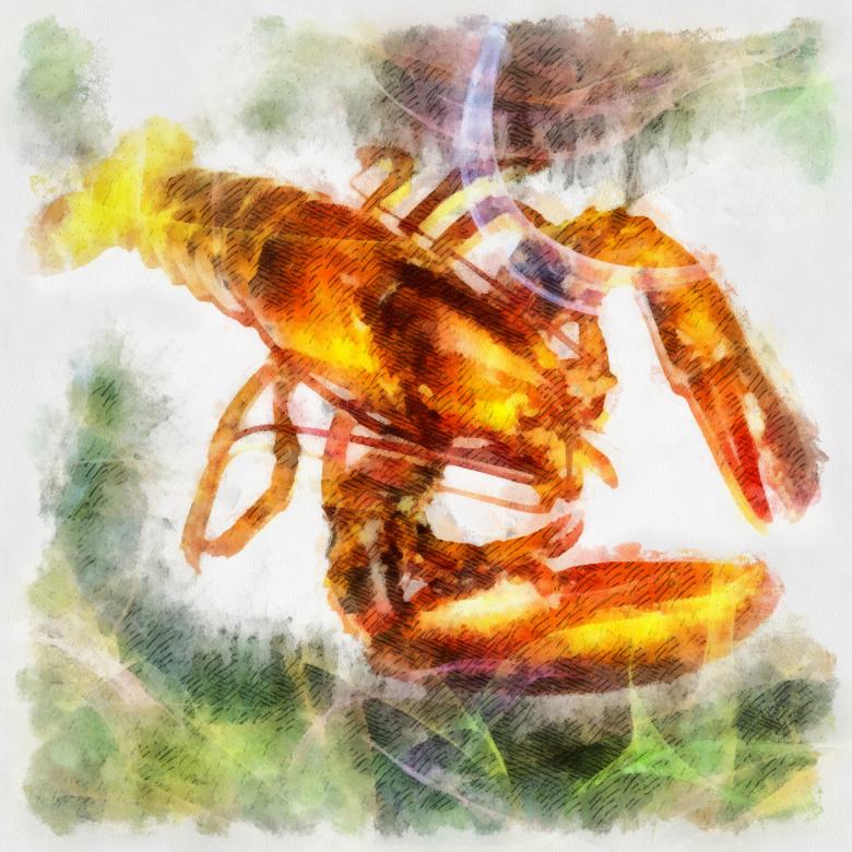 Free stock image of Lobster Illustration created by Prawny