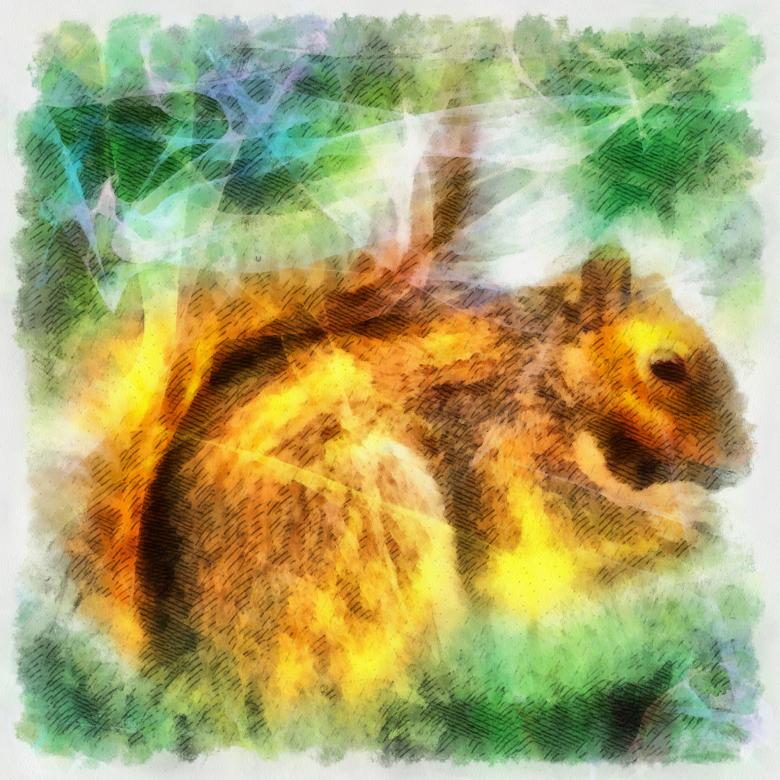 Free stock image of Squirrel Illustration created by Prawny