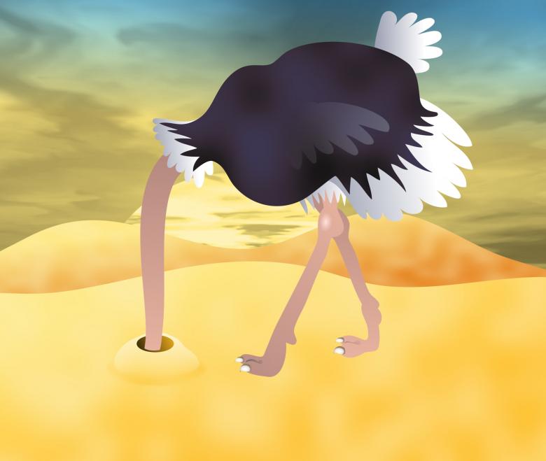 Free stock image of Ostrich Clipart created by Prawny