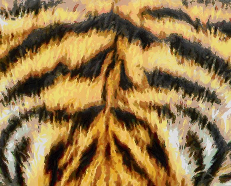 Free stock image of Tiger Fur Painting created by Prawny