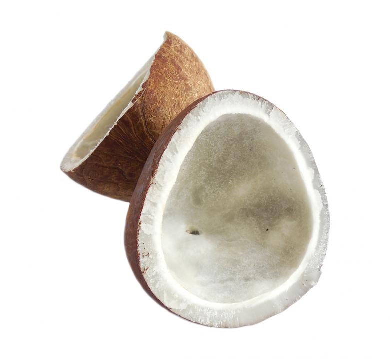 Free stock image of Dry Coconut created by Sid Wood