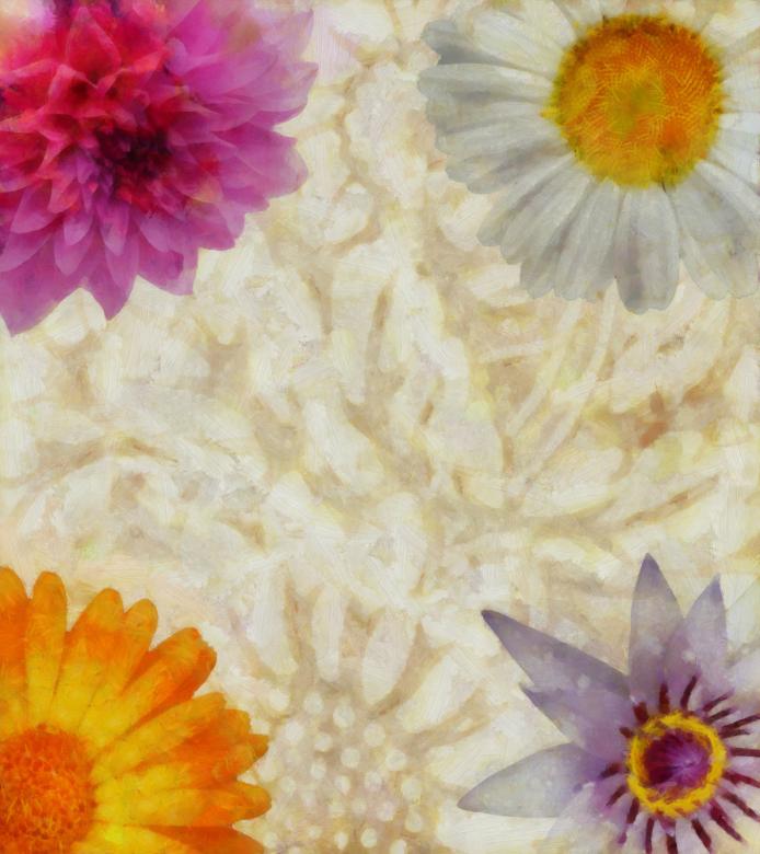 Free stock image of Floral Collage Background created by Prawny