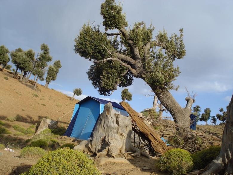 Free stock image of Gamble view for a tent created by chakomajaw