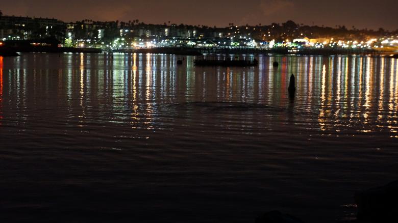 Free stock image of Seashore at night created by Phuong Ho