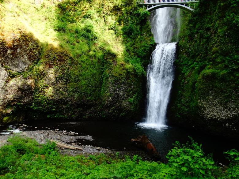 Free stock image of Waterfall created by Soniya Ahuja