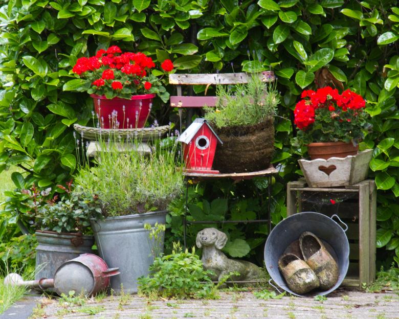 Free stock image of Garden created by Geoffrey Whiteway