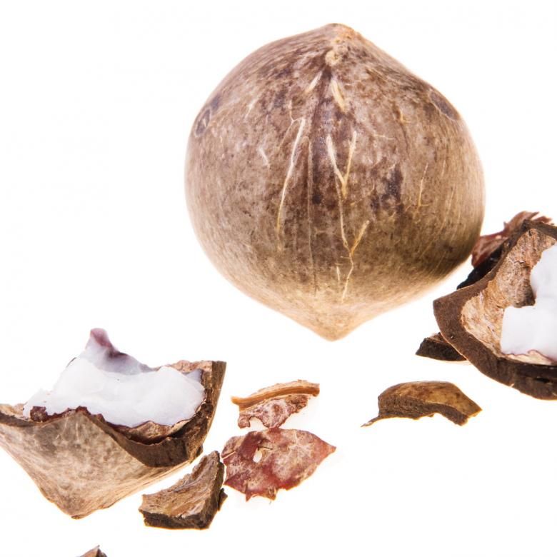 Free stock image of coconut created by 2happy
