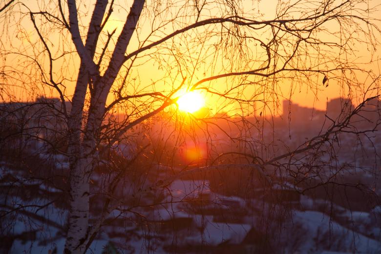 Free stock image of branch in sunshine created by 2happy
