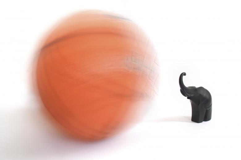 Free stock image of Basketball & Elephant created by Ian Morgan
