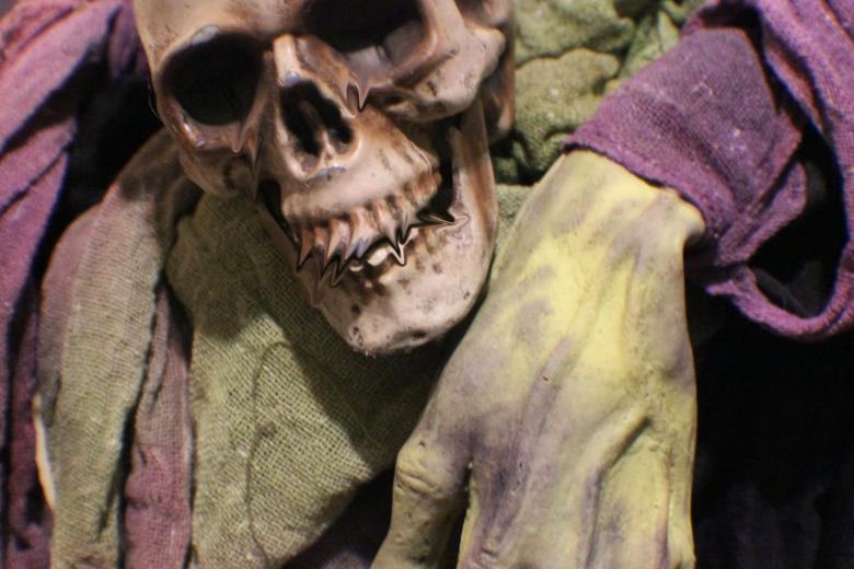 Free stock image of Skull Witch created by Ashley Keller
