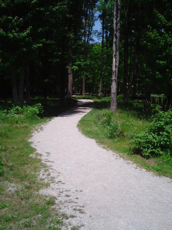 Free stock image of Winding Trail created by Cherie Durbin