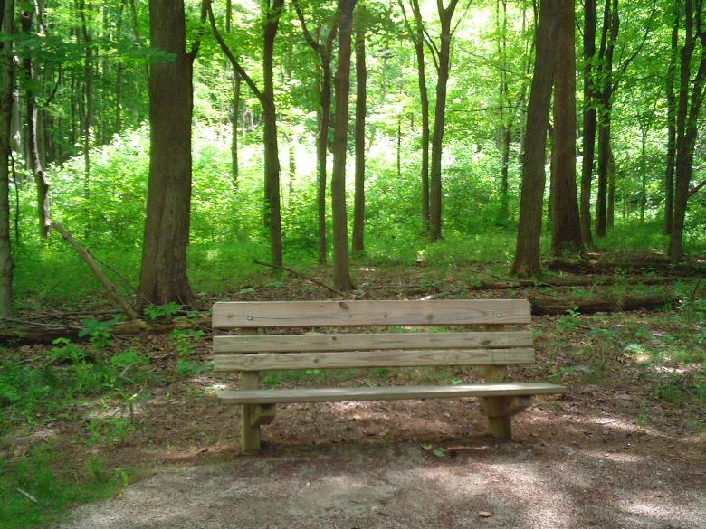 Free stock image of A Seat in the Shade created by Cherie Durbin