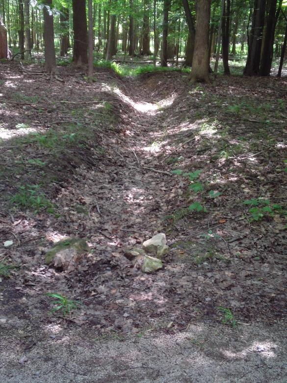Free stock image of Dry Ditch created by Cherie Durbin