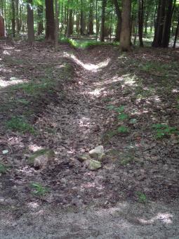 Dry Ditch - Free Stock Photo