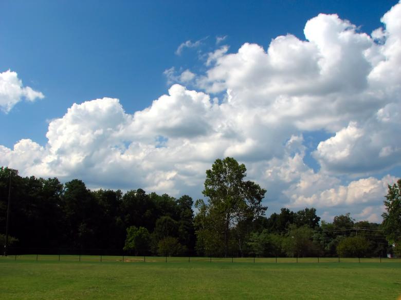 Free stock image of A grass field landscape created by Benjamin Miller