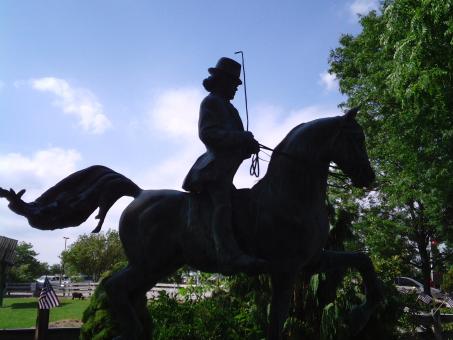 Horse and Rider - Free Stock Photo