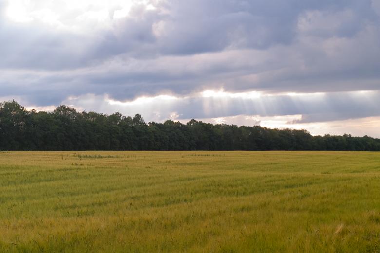 Free stock image of Storm over the field created by Evgenij Kutyavin