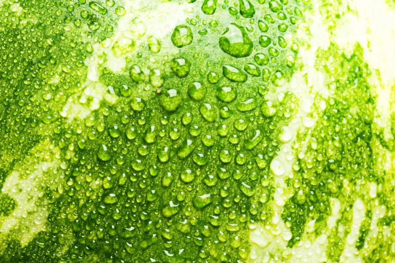 Free stock image of fresh watermelon background created by 2happy
