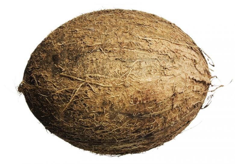 Free stock image of coconut  created by 2happy