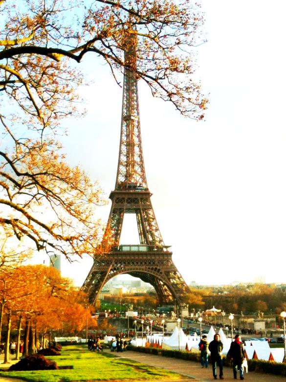 Free stock image of Eiffel Tower in Autumn created by Nestor Romero