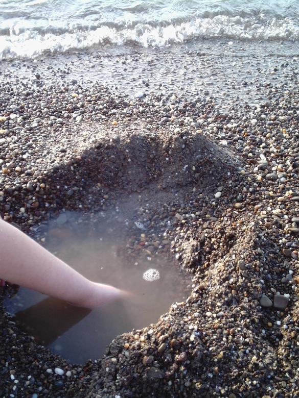 Free stock image of Hand in the Sand created by Cherie Durbin
