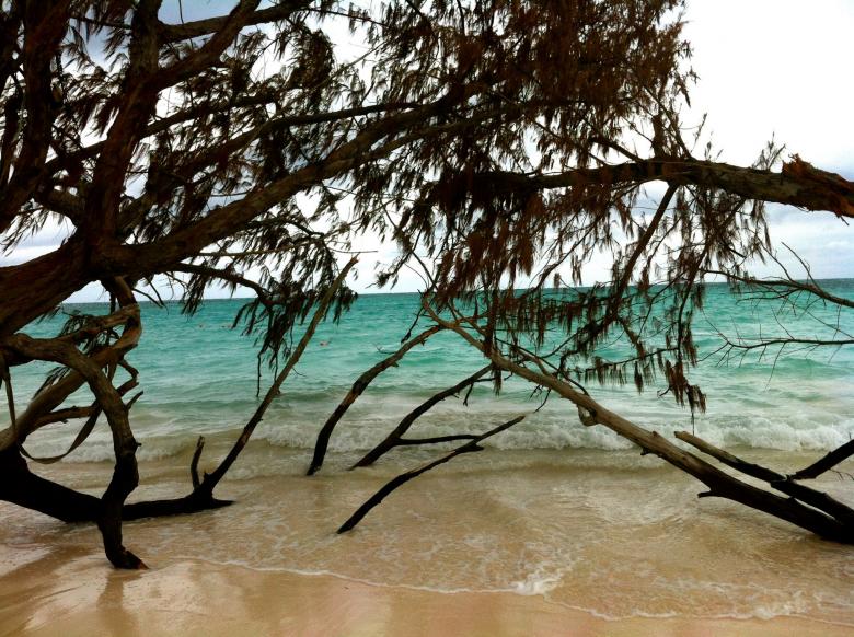 Free stock image of Punta Cana created by Nestor Romero