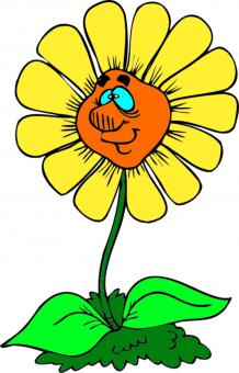 Clipart sunflower - Free Stock Photo