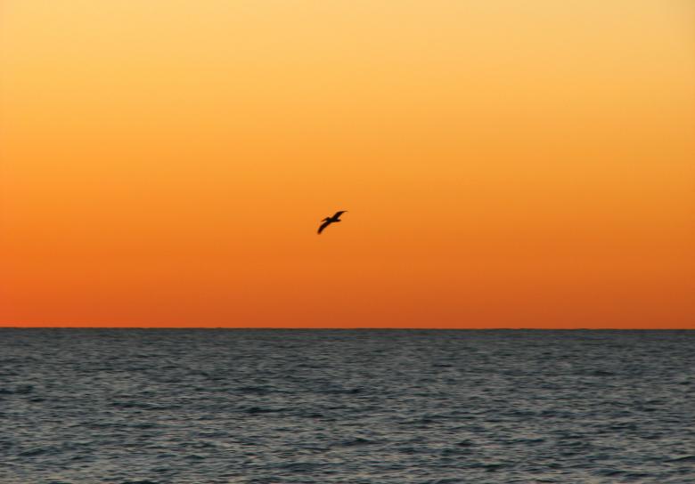 Free stock image of An ocean sunset landscape created by Benjamin Miller