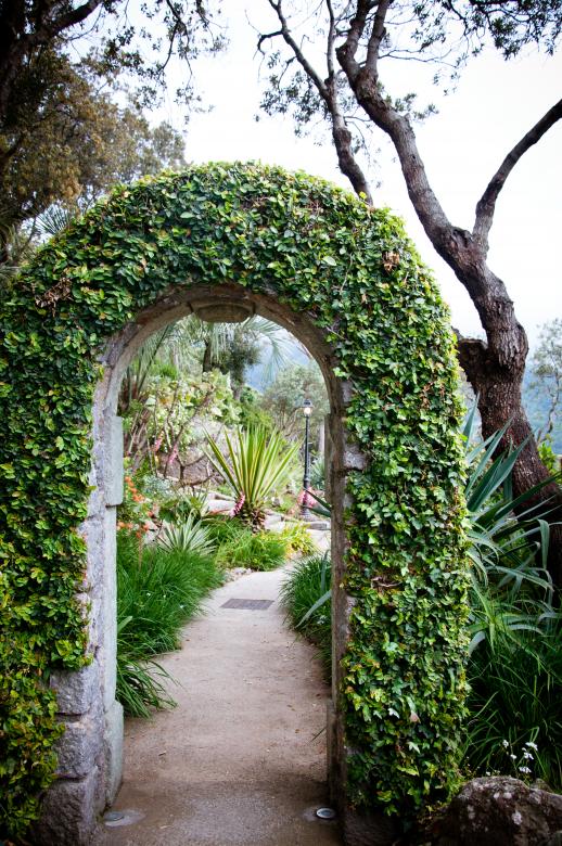 Free stock image of Garden arch created by Luka