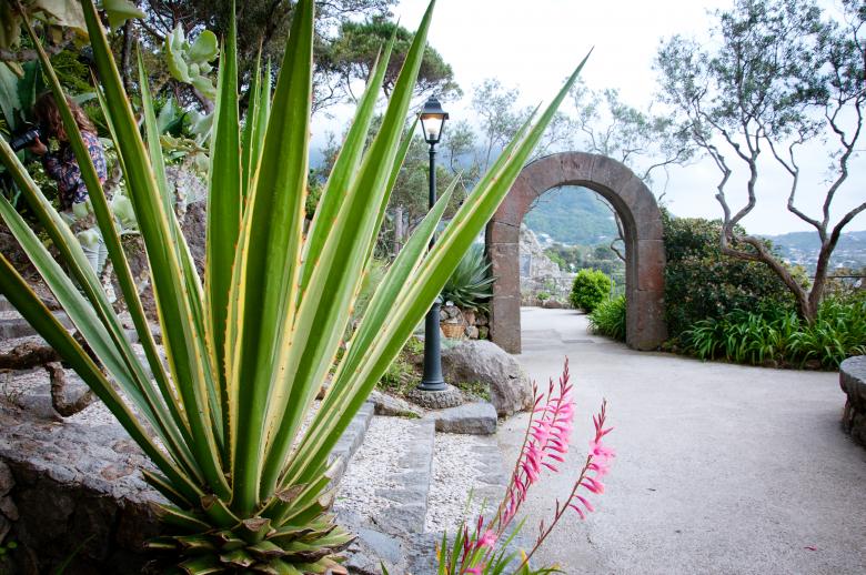 Free stock image of botanical garden La Mortella, Ischia isl created by Luka