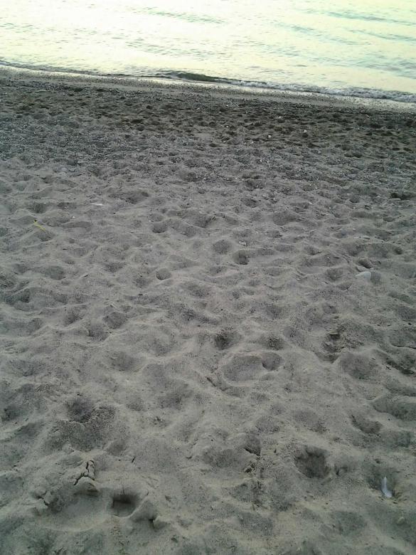 Free stock image of Sandscape created by Cherie Durbin