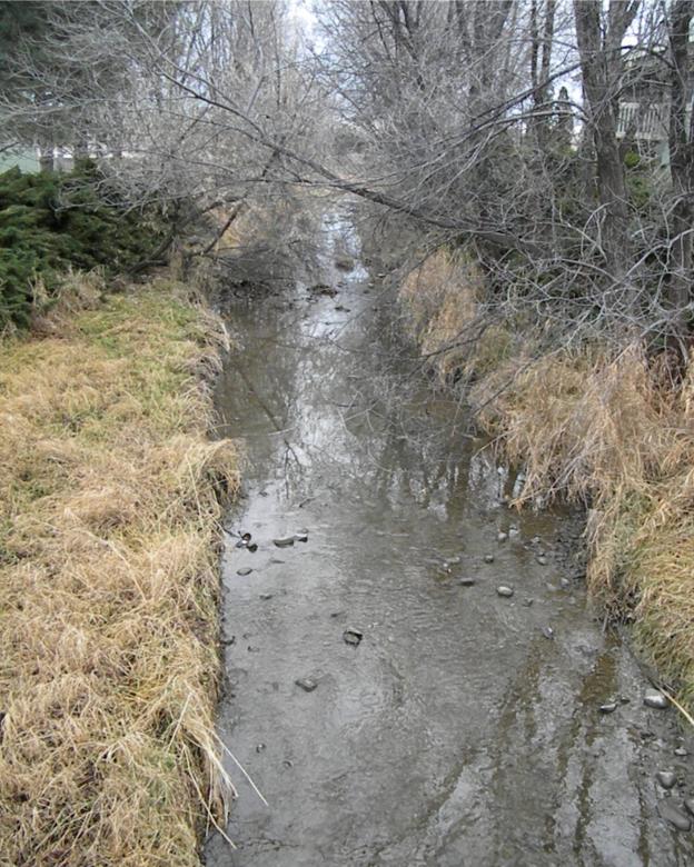 Free stock image of Water, Water Everywhere created by Sara Holt