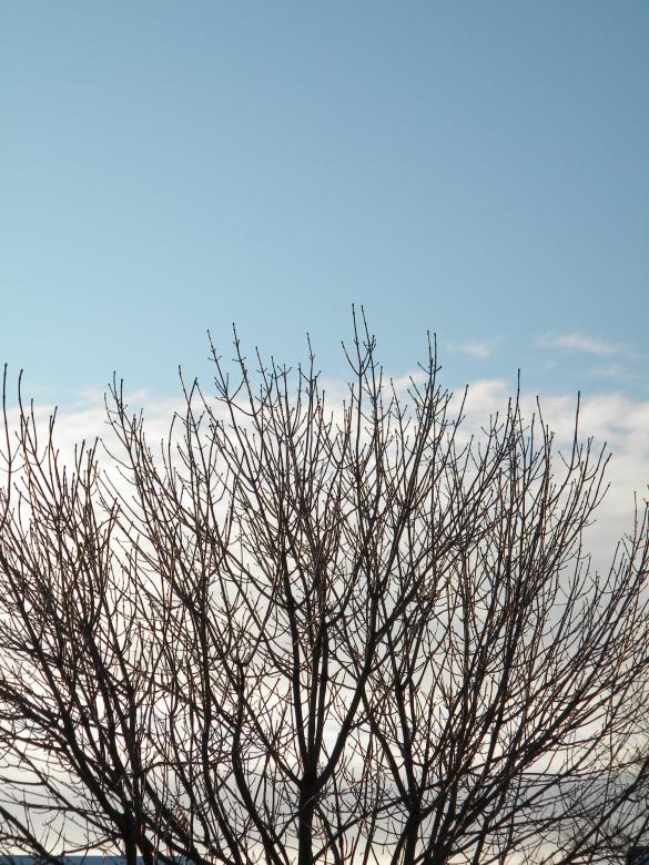 Free stock image of Beauty in the Sky created by Sara Holt