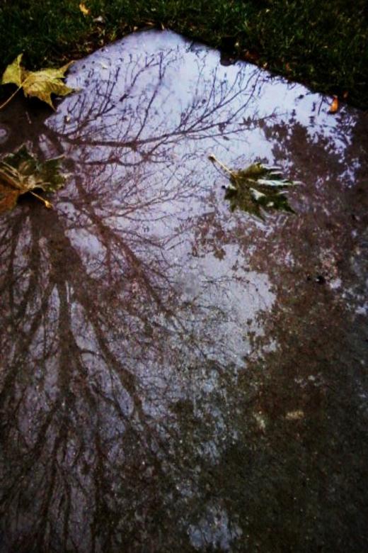 Free stock image of Mirror on the Breaking Storm created by Sara Holt