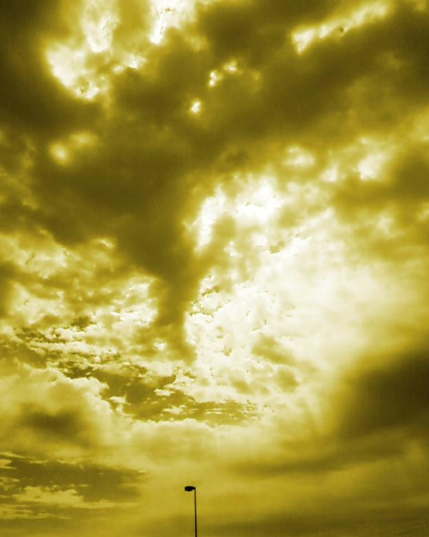 Free stock image of Staying Gold created by Sara Holt