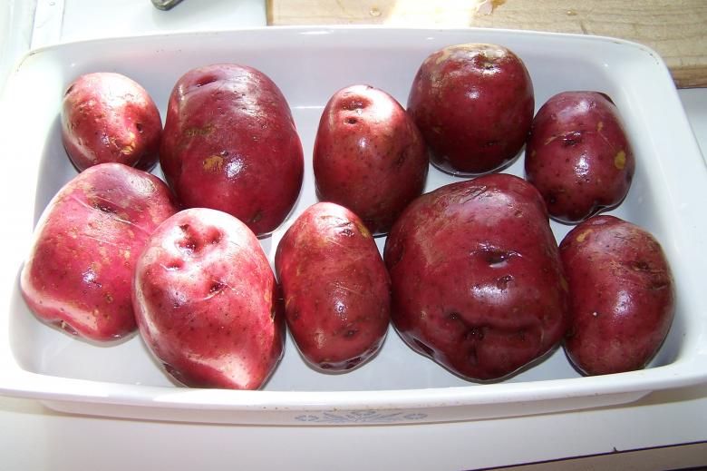 Free stock image of Red Potatoes created by delicopsch56