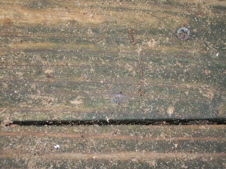 Free stock image of Weathered bench planks created by delicopsch56