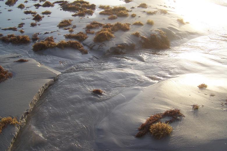 Free stock image of Micro Beach Scene created by delicopsch56