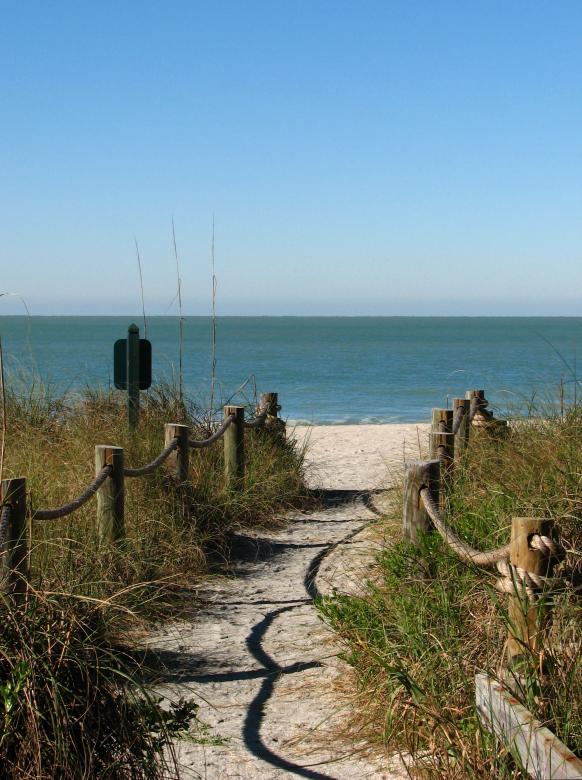 Free stock image of A path heading to the beach created by Benjamin Miller
