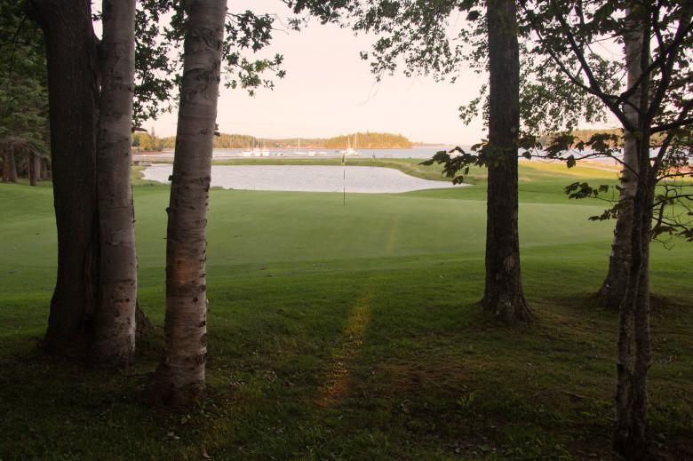 Free stock image of Golf course created by Geoffrey Whiteway