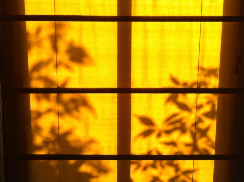 Free stock image of Lilac Silhouette created by delicopsch56