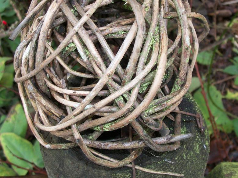 Free stock image of Twig ball on post created by delicopsch56