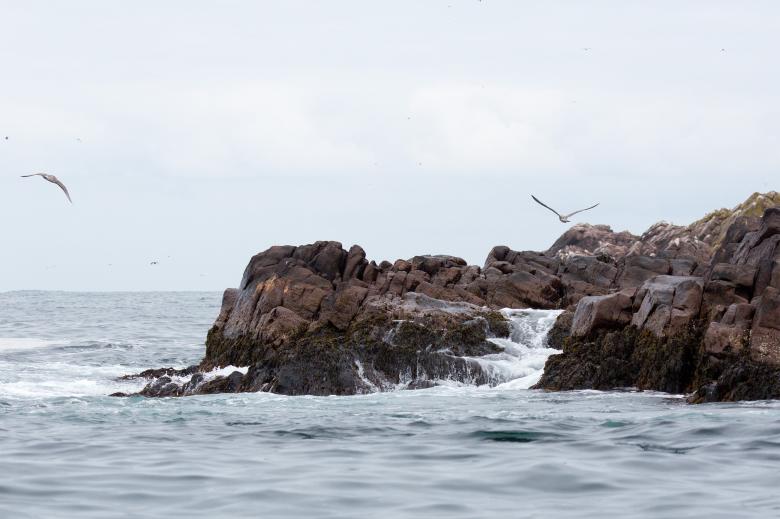 Free stock image of Seascape created by Geoffrey Whiteway