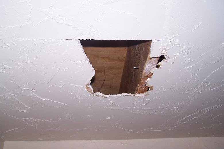 Free stock image of Ceiling Cutout 2 created by delicopsch56